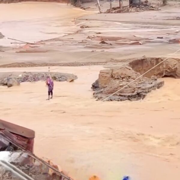 Screenshot_20251231_022947_Gallery