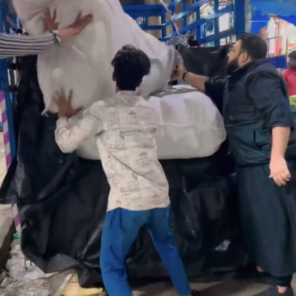 Screenshot_20251231_023300_Gallery